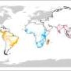 Study of global primate populations reveals predictors of extinction risk