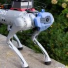 Generative AI taught a robot dog to scramble around a new environment